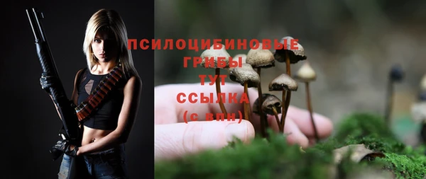 прущий лед Абаза
