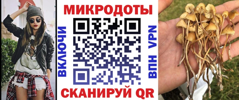наркота  Ковров  нарко площадка формула  Псилоцибиновые грибы прущие грибы 